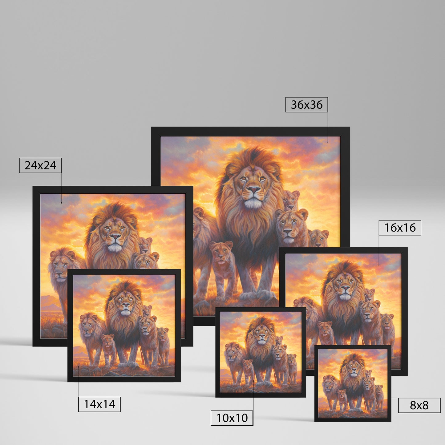 Radiant Regality: Morning Among the Pride